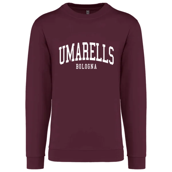 COLLEGE UMARELLS HOODIE - immagine 3